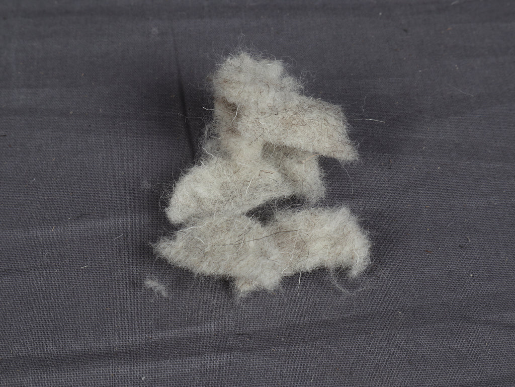 Bio-Schafwollpads – Der natürliche Duftspeicher