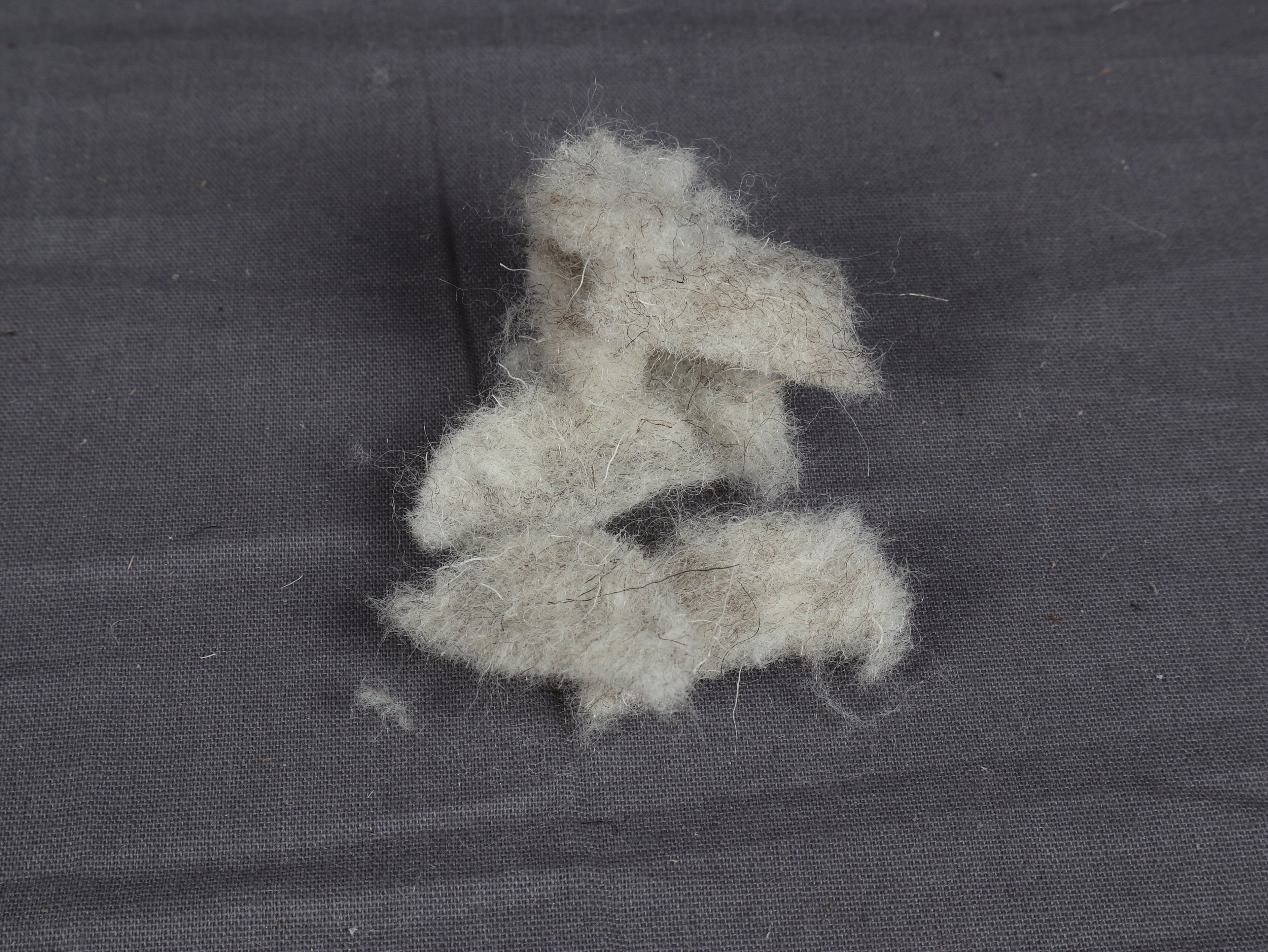 Bio-Schafwollpads – Der natürliche Duftspeicher