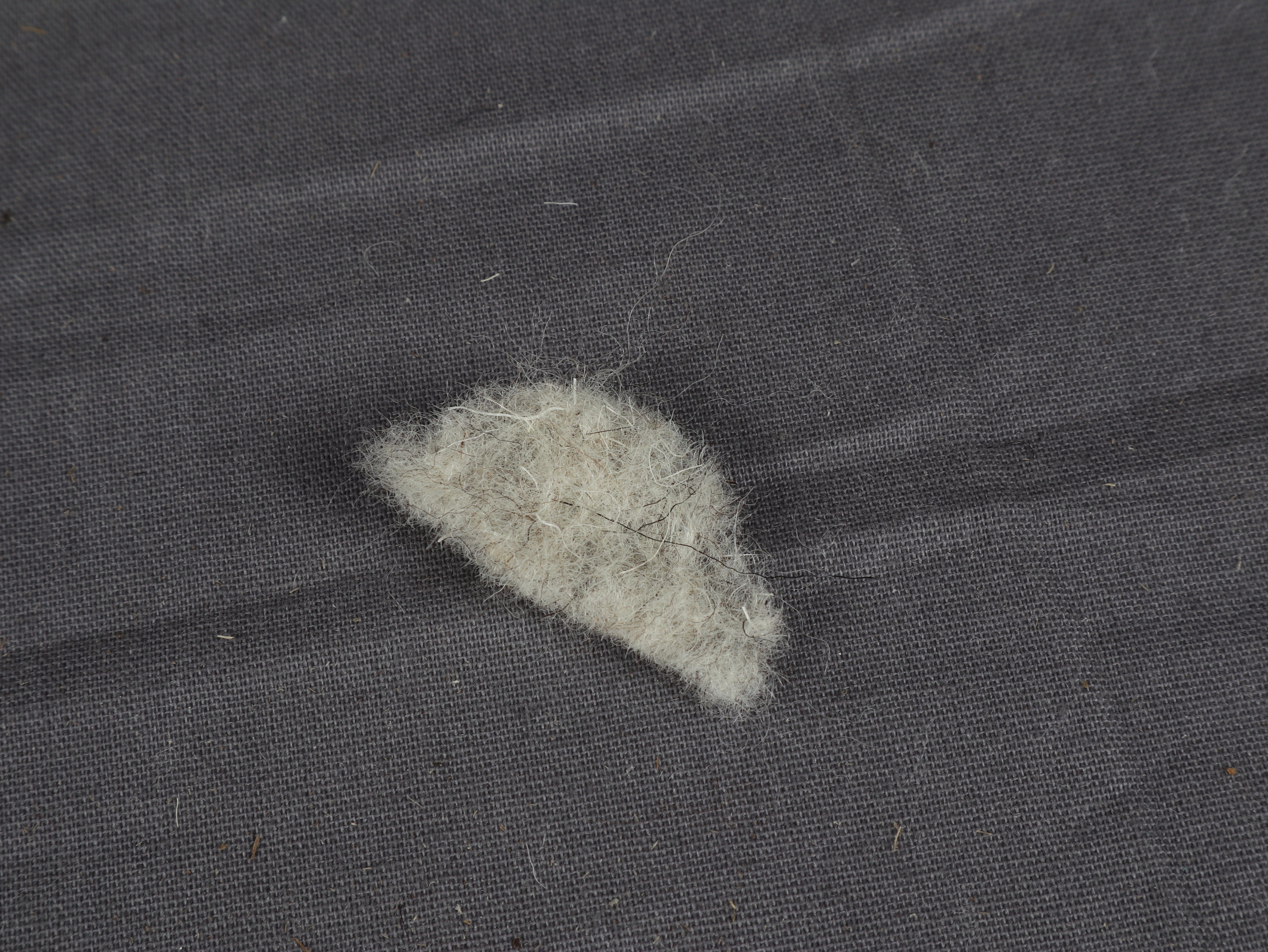 Bio-Schafwollpads – Der natürliche Duftspeicher